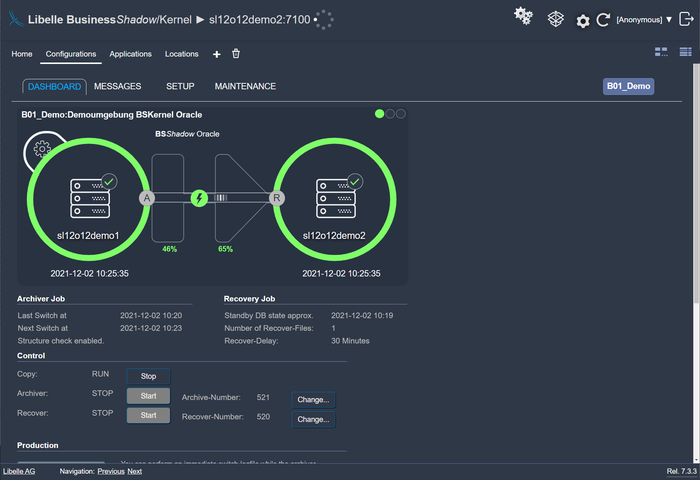 Libelle BusinessShadow frontend shows the preparation-phase