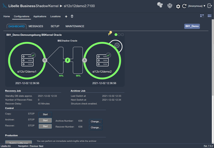 Libelle BusinessShadow frontend shows the troubleshooting-phase