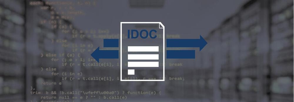 Programming script with icon of an IDOC in the foreground 
