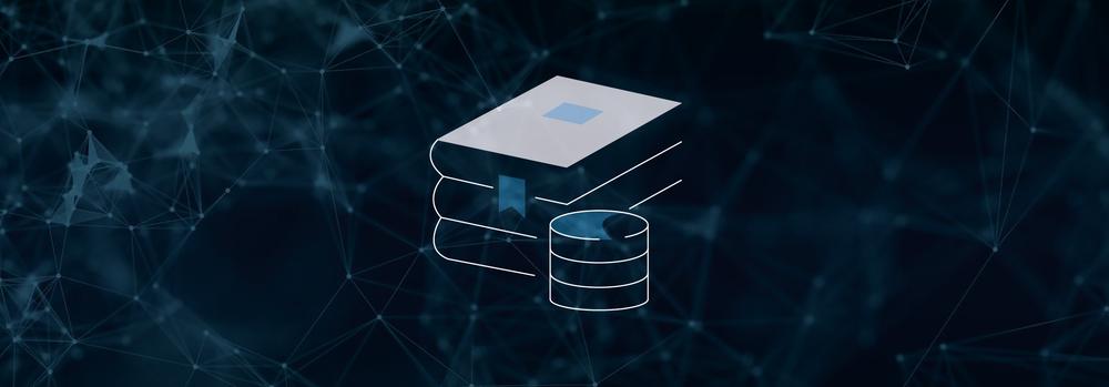 Icon Glossar Database Libelle IT Group