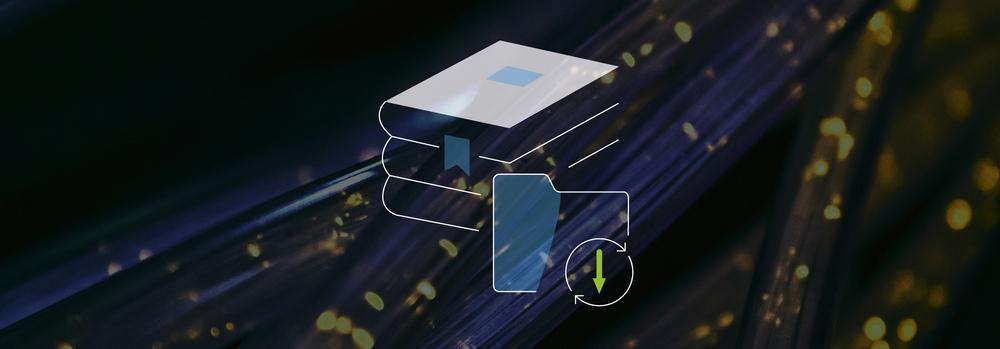Libelle IT Group Icon Data minimization