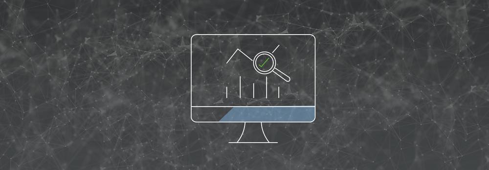 IT auditing Icon 