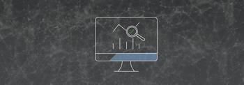 IT auditing Icon 